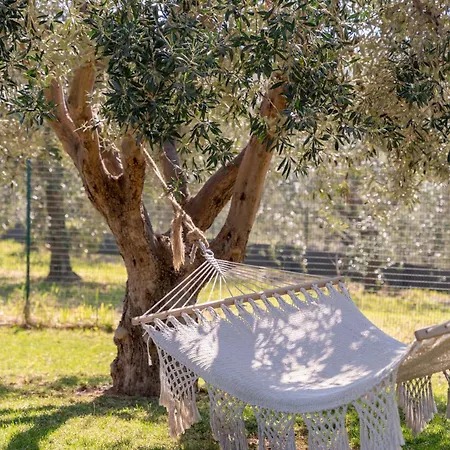 La Casa Di Ernino 別荘