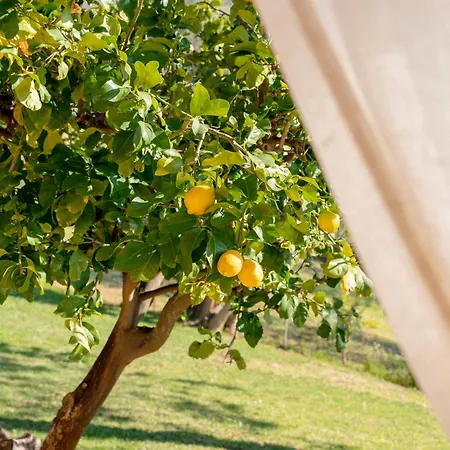 La Casa Di Ernino トルトレート